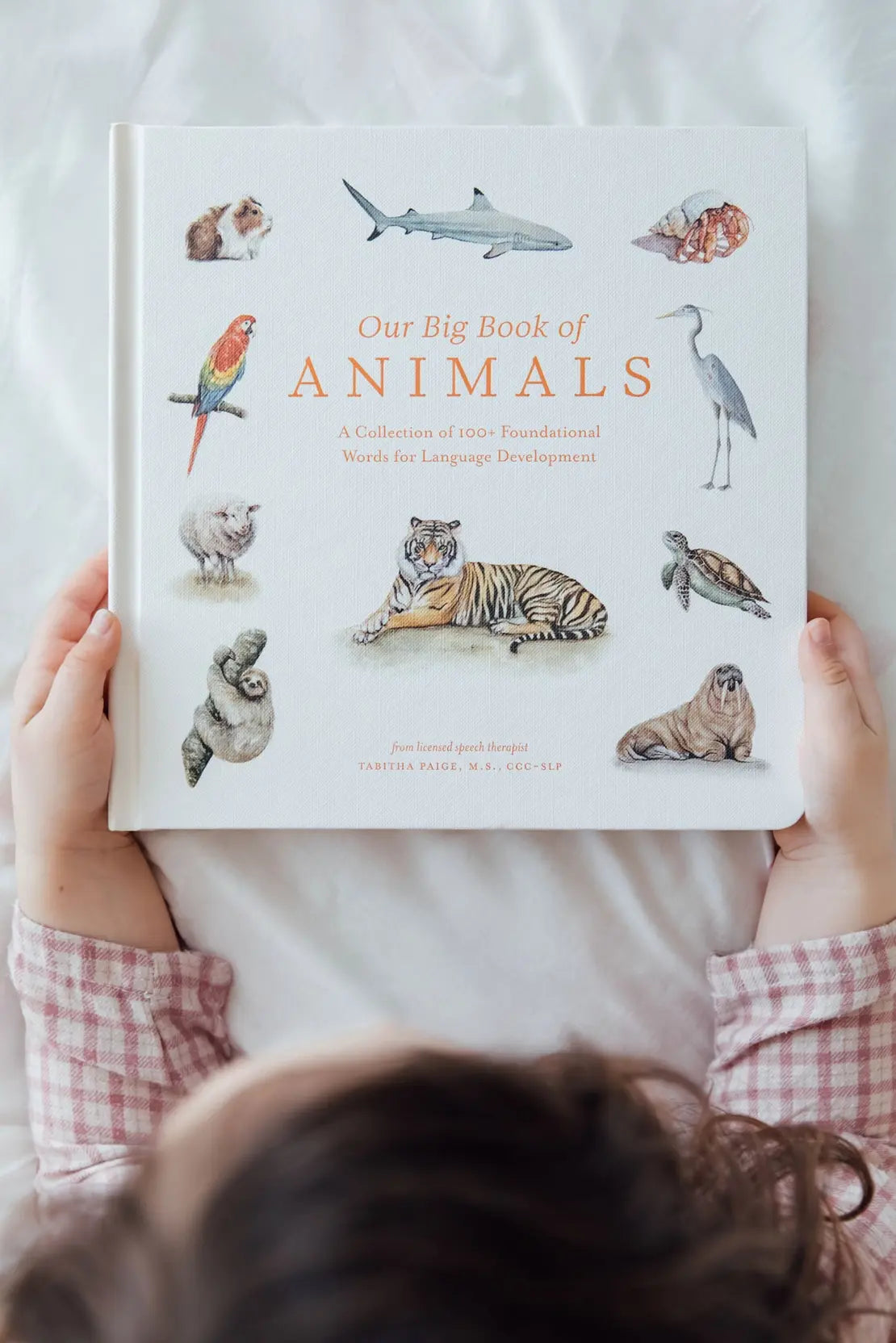 Our Big Book of Animals