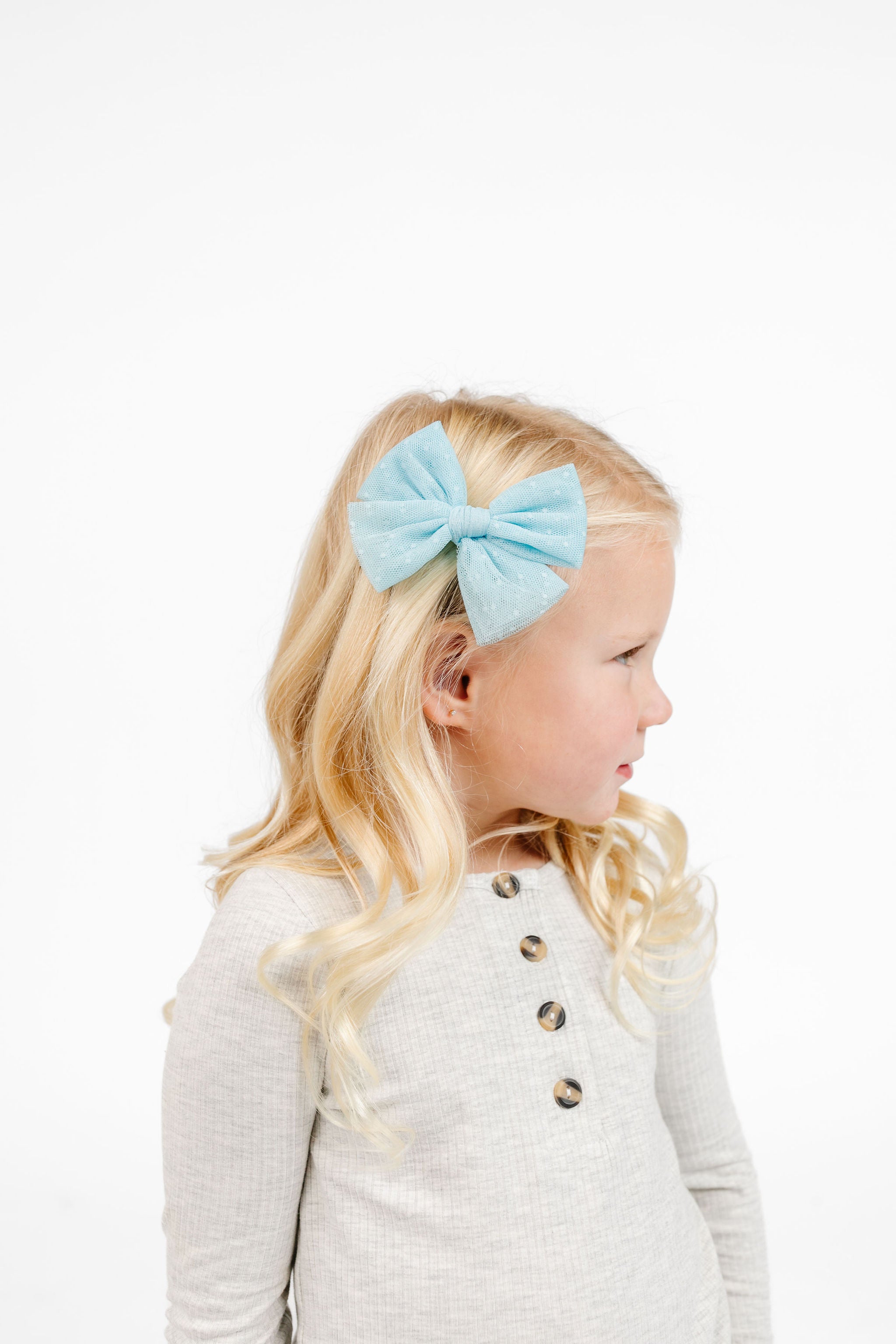 Hair Clip Converter Kit