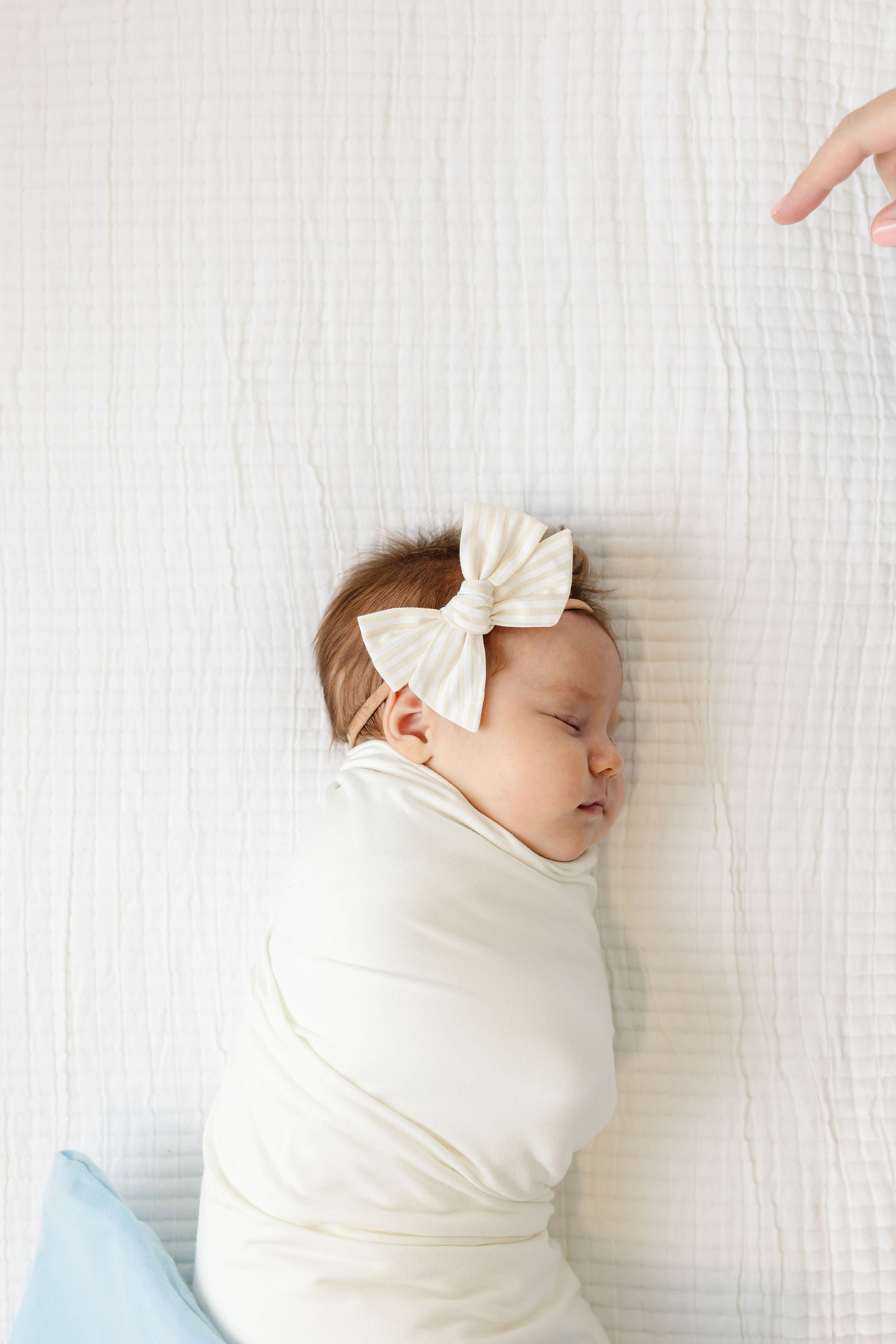 Classic Bow - Ivory Stripe