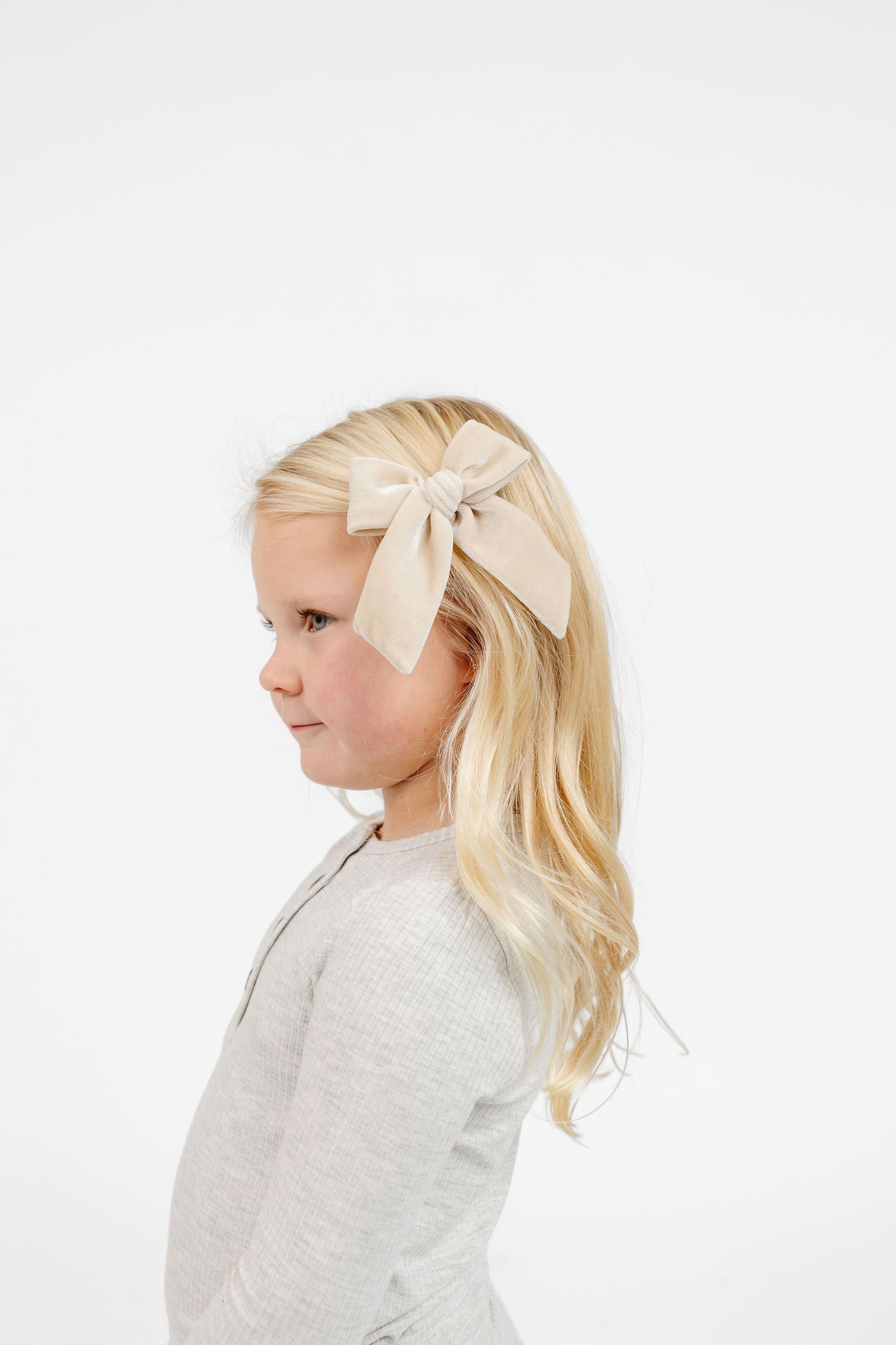 Hair Clip Converter Kit