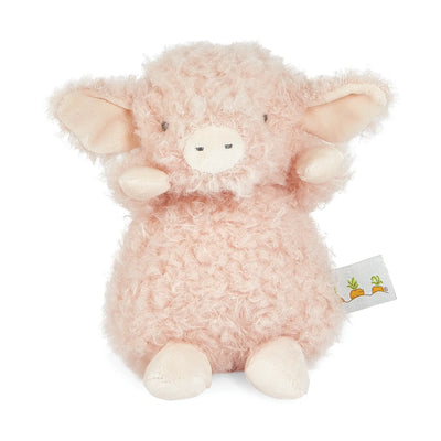 Wee Hammie the Pig