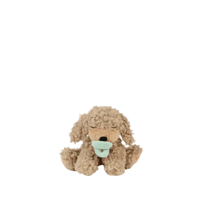 Binky Puppy - Benny