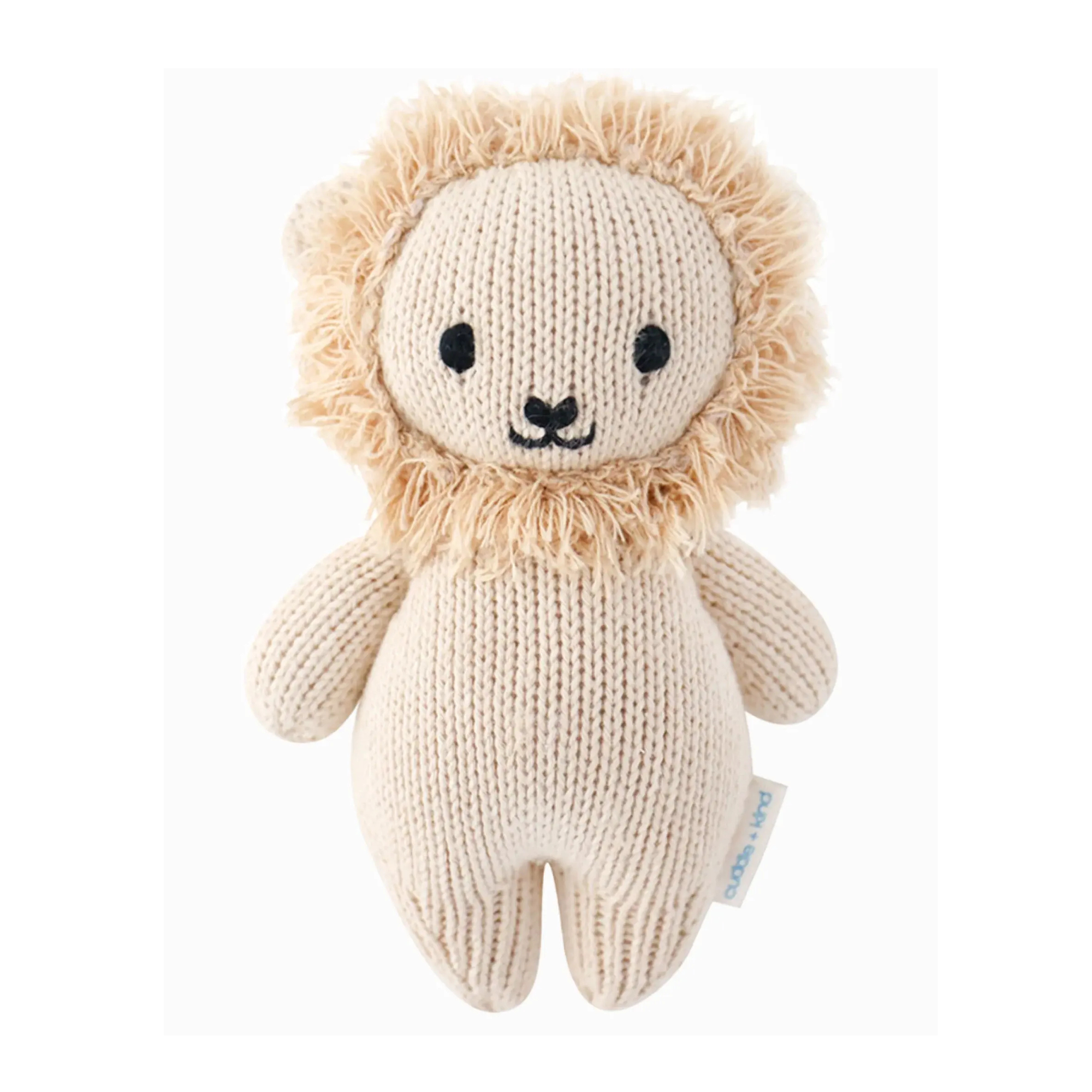 Baby Lion